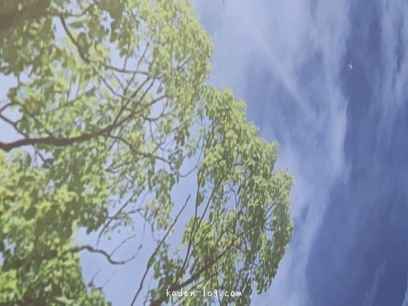 XGIMI MoGo Proは細かい木々まで鮮明に投影できるフルハイビジョンの解像度
