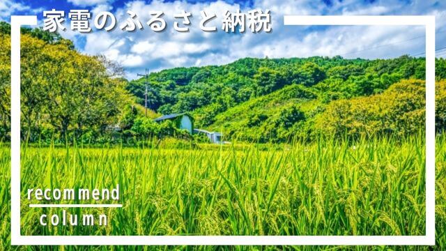 家電のふるさと納税は損？リアルな還元率とおすすめ家電10選