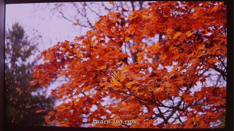 鮮やかな美しい映像を楽しめる
